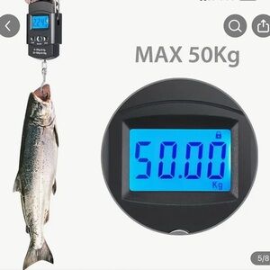 🆕Digital Fish Scale with Blue Display